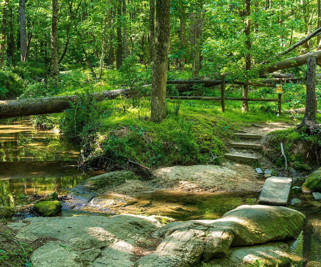 forest trail, stream crossing, rock path-5150605.jpg